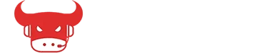 SPORTSBULL